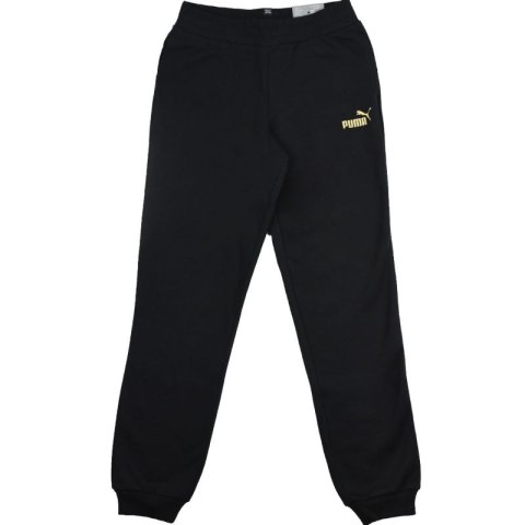 Spodnie Puma Essential Sweatpants FL G Jr 846133 51 Puma