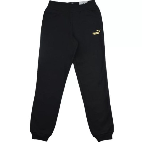 Spodnie Puma Essential Sweatpants FL G Jr 846133 51 Puma