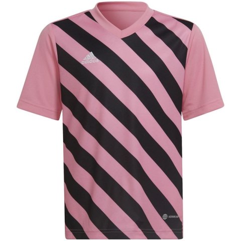 Koszulka adidas Entrada 22 Graphic Jersey Jr HC2632 Adidas