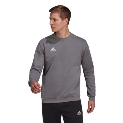 Bluza adidas Entrada 22 Sweat Top M H57479 Adidas