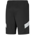 Spodenki Puma Ferrari Race Track Short M 599828-01 Puma