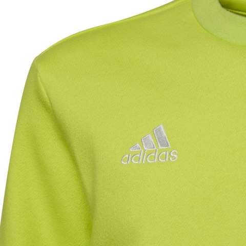 Bluza adidas Entrada 22 Sweat Top Jr HC5043 Adidas