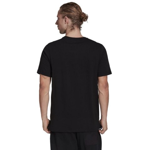 Koszulka adidas Terrex Mountain Fun Graphic Tee M H50930 Adidas