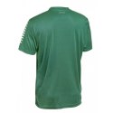 Koszulka Select Pisa U T26-01668 green Select
