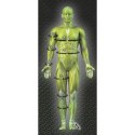 SELECT Spodenki Kompresyjne 6407 kinesiological effect Select