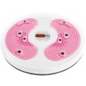 Twister z magnesami Profit DK3407A PROfit
