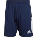 Spodenki adidas Condivo 22 Training Shorts M HA6284 Adidas