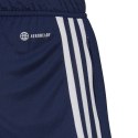 Spodenki adidas Condivo 22 Training Shorts M HA6284 Adidas