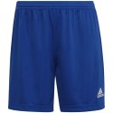 Spodenki adidas Entrada 22 W HH9998 Adidas