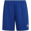 Spodenki adidas Entrada 22 W HH9998 Adidas
