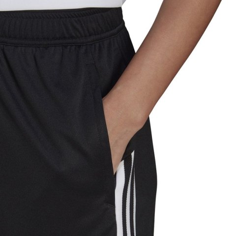 Spodenki adidas Condivo 22 Training W HI6074 Adidas