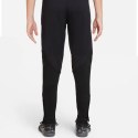 Spodnie Nike Polska Strike Jr DM9600-010 Nike