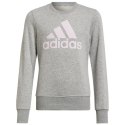 Bluza adidas Big Logo Swt Jr HM8706 Adidas