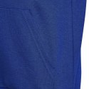 Bluza adidas Big Logo Essentials Hoody Jr HN1912 Adidas