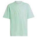 Koszulka adidas FI Logo Tee Jr IC9532 Adidas