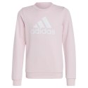 Bluza adidas Big Logo Swt Jr IC6119 Adidas