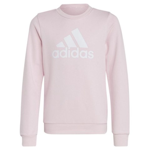 Bluza adidas Big Logo Swt Jr IC6119 Adidas