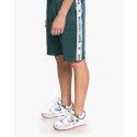 DC HEGGERTY SHORT JUNE BUG SEDYFB03047 DC