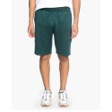 DC HEGGERTY SHORT JUNE BUG SEDYFB03047 DC
