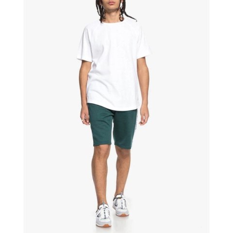DC HEGGERTY SHORT JUNE BUG SEDYFB03047 DC