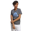 Koszulka adidas Big Logo Tee W IC0634 Adidas