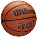 Piłka do koszykówki Wilson NBA Jr DRV Fam Logo Ball WZ3013001XB Wilson