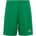 Spodenki adidas Entrada 22 Jr IC7410 Adidas