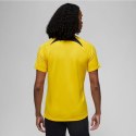 Koszulka Nike PSG DF Academy Pro SS Top PM 4TH M DR4906 720 Nike