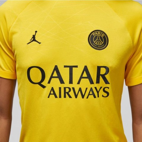 Koszulka Nike PSG DF Academy Pro SS Top PM 4TH M DR4906 720 Nike