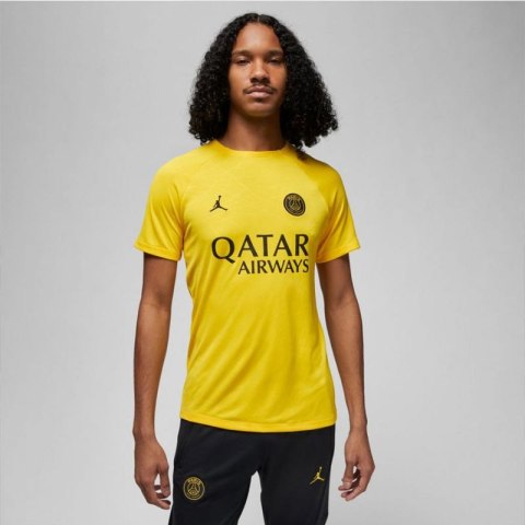 Koszulka Nike PSG DF Academy Pro SS Top PM 4TH M DR4906 720 Nike