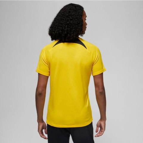 Koszulka Nike PSG DF Academy Pro SS Top PM 4TH M DR4906 720 Nike
