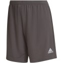 Spodenki adidas Entrada 22 W HH9995 Adidas
