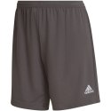 Spodenki adidas Entrada 22 W HH9995 Adidas