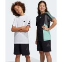 Spodenki adidas Future Icons Logo 8 Inch Shorts Jr HR6306 Adidas