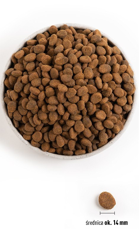 Orijen Regional Red Dog 11,4kg Orijen