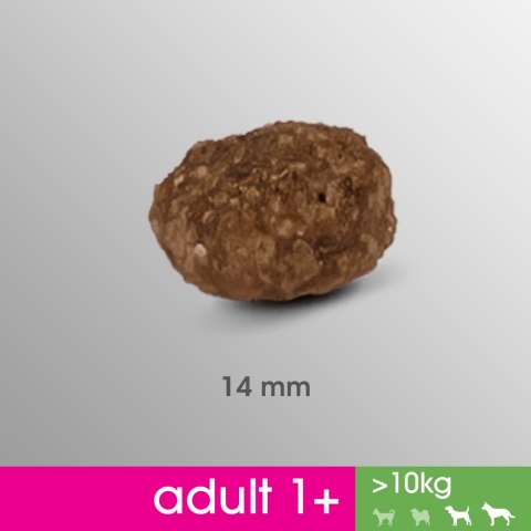 PERFECT FIT Adult 1+ Duże Rasy Z Kurczakiem 825g Perfect Fit