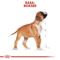 ROYAL CANIN Boxer Puppy 12kg Royal Canin