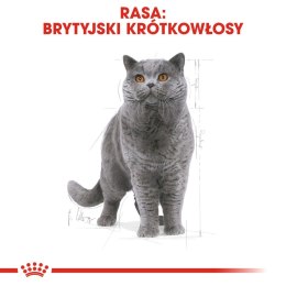 ROYAL CANIN British Shorthair Adult 400g Royal Canin