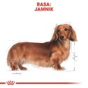 ROYAL CANIN Dachshund Adult 7,5kg Royal Canin