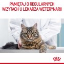 ROYAL CANIN Intense Beauty Gelee 12x85g Royal Canin