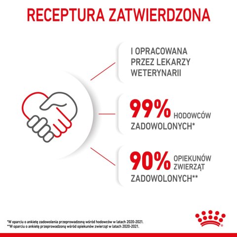 ROYAL CANIN Kitten Pasztet 12x85g Royal Canin