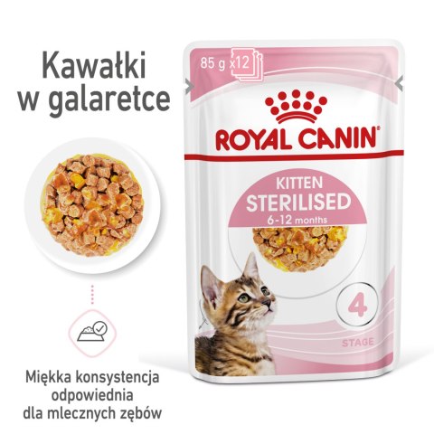 ROYAL CANIN Kitten Sterilised Gelee 12x85g Royal Canin