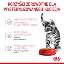 ROYAL CANIN Kitten Sterilised Gelee 12x85g Royal Canin