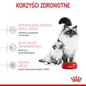 ROYAL CANIN Mother & Babycat 2kg Royal Canin
