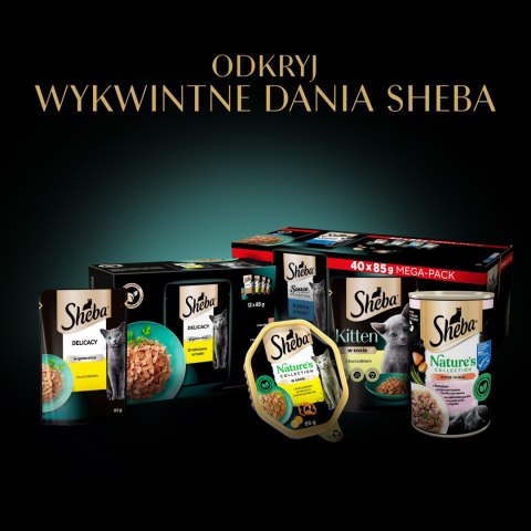 Sheba Saszetka Delicacy In Jelly Smaki Drobiowe 12x85g Sheba