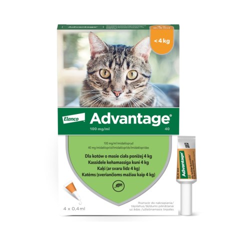 Bayer Advantage Roztwór Do Nakrapiania Dla Kotów 4x0,4ml Bayer