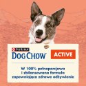 Purina Dog Chow Active Adult Z Kurczakiem 14kg Purina Dog Chow
