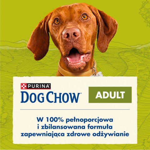 Purina Dog Chow Adult Z Jagnięciną 14kg Purina Dog Chow