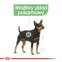 ROYAL CANIN CCN Digestive Care Pasztet 12x85g Royal Canin
