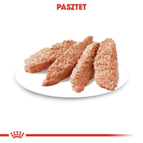 ROYAL CANIN CCN Digestive Care Pasztet 12x85g Royal Canin